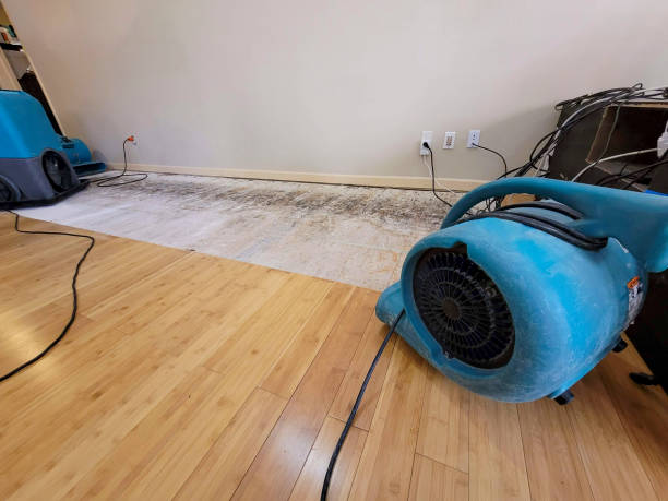 Professional Sewage Cleanup technician working in Rhoadesville, VA